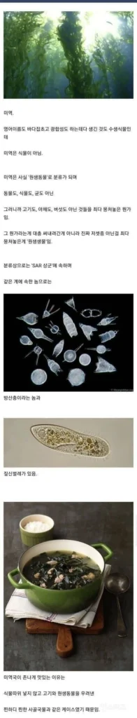맛있는 미역국을 만드는 비결