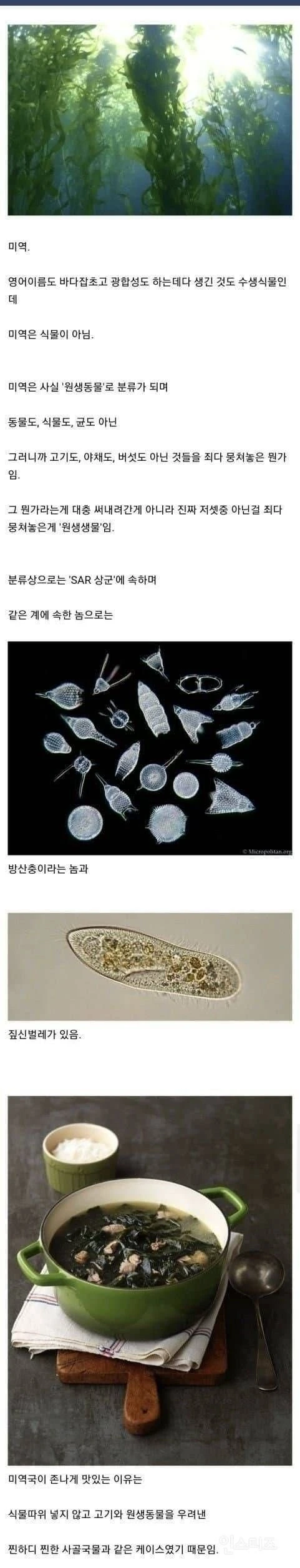 맛있는 미역국을 만드는 비결