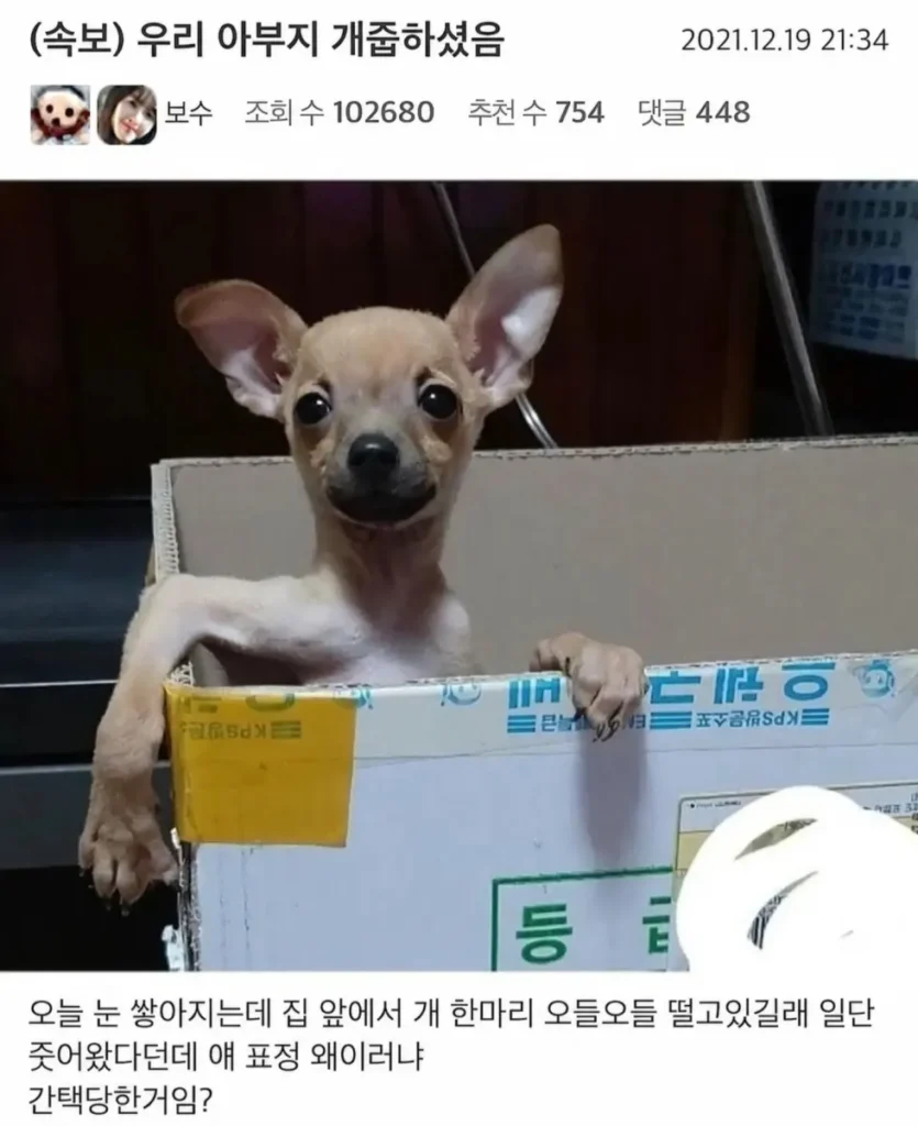 아버님께서 강아지를 데리고 오셨어요