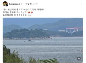 돌고래가 보인다는 펜션에 위기감을 느낀 사장님