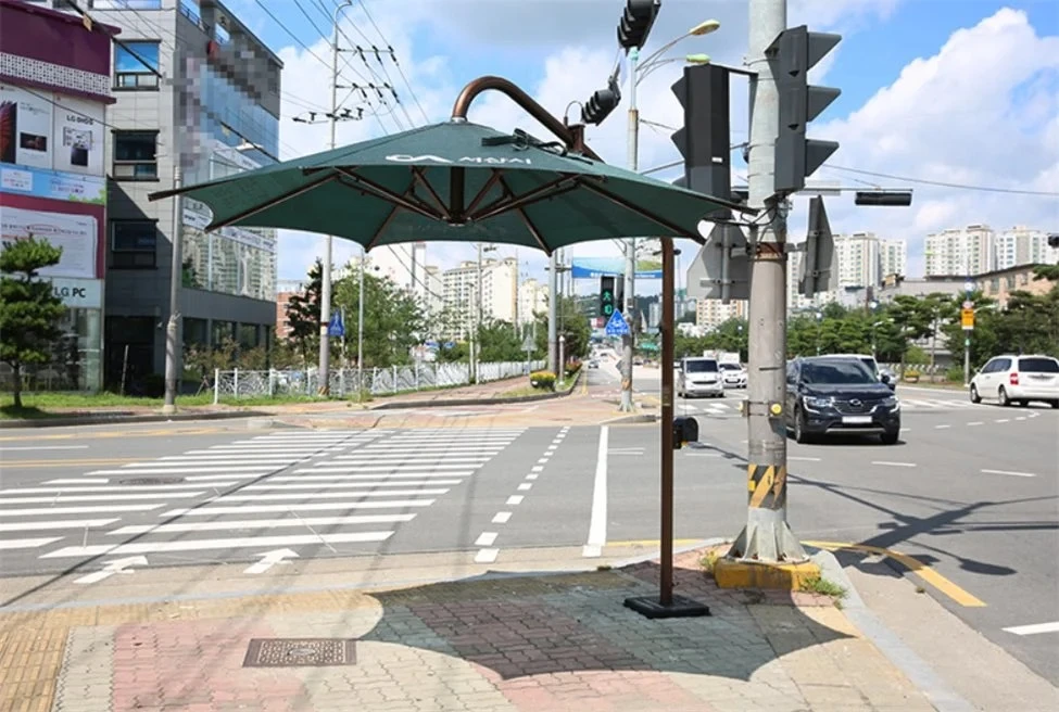 한국 특산품, 일본에 전파되다 (사진)