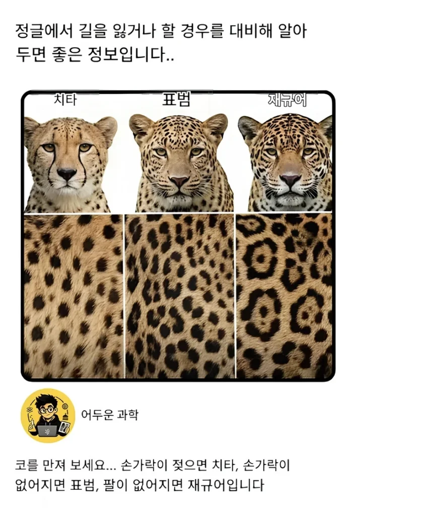 정글 조난 시 알아두면 좋은 정보