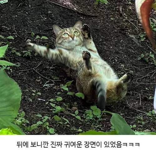 할머니가 귀엽다고 보내주신 사진