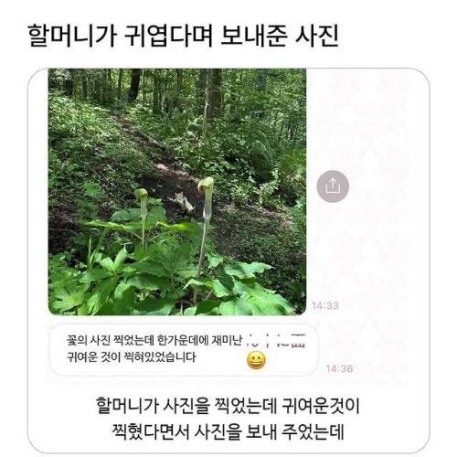 할머니가 귀엽다고 보내주신 사진