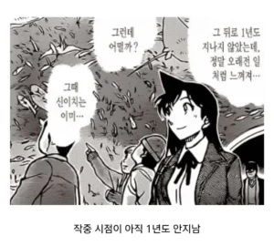 명탐정 코난 만화, 한 장면으로 보는 문제점 요약
