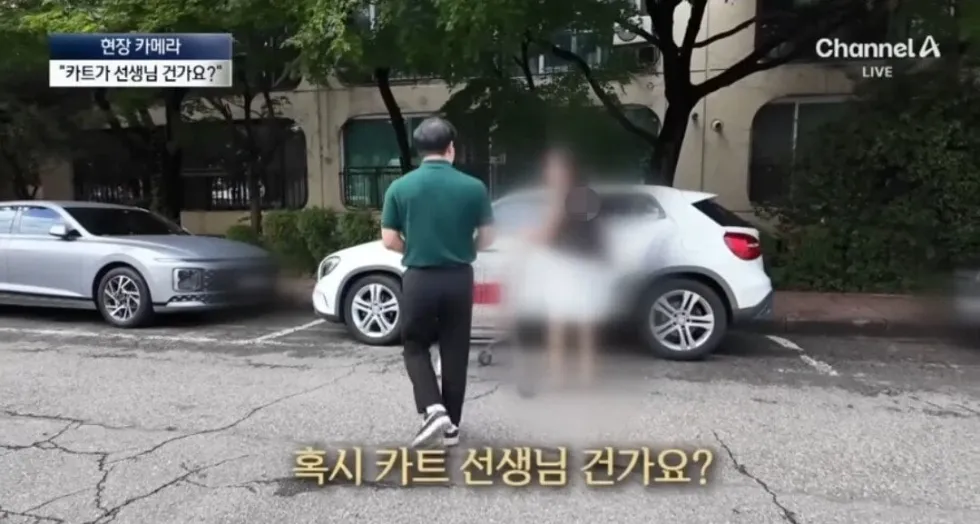 당당하게 위반행위를 하는 모습
