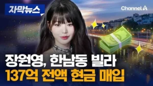 전액 현금으로 매입 (사소한 소비를 부동산 기사처럼)