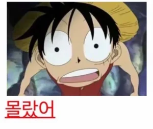 몰랐어 (원피스 루피 당황 짤)