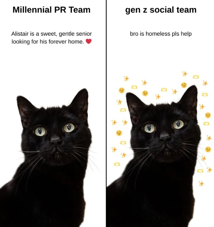 밀레니얼 PR팀 vs 젠지 소셜팀 (Millennial vs Gen Z)