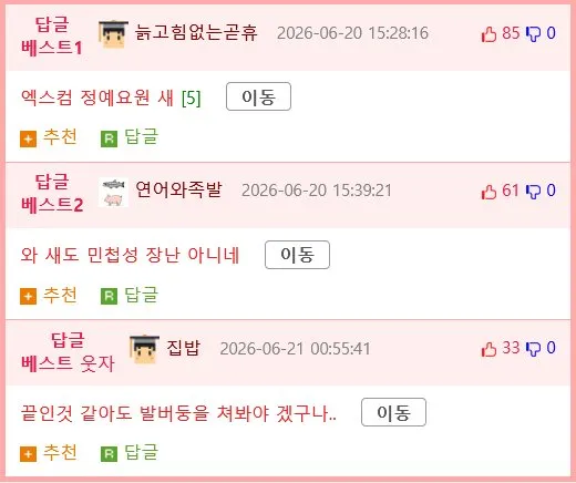 물고기가 레전드 술자리 썰을 만들었다