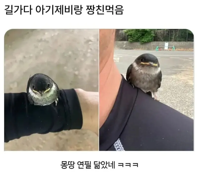 이 시기쯤 운 좋으면 겪는다는 일