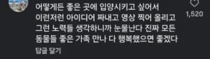 동물보호센터 요즘 입양 홍보