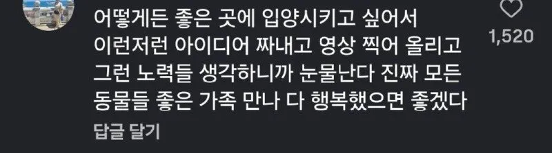 동물보호센터 요즘 입양 홍보