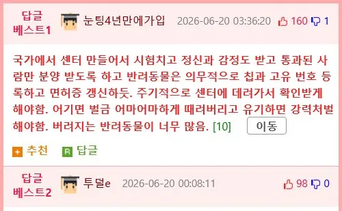 동물보호센터 요즘 입양 홍보