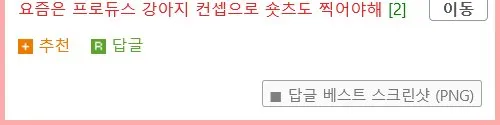 동물보호센터 요즘 입양 홍보