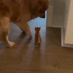 이 꼬맹이 누구지