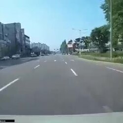 차가 오는데 그냥 들이미네. gif
