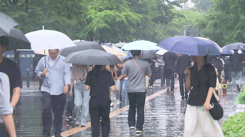본격 장마 시작, 다음 주 전국 확산…시간당 30mm 집중호우 대비 필요