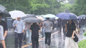 본격 장마 시작, 다음 주 전국 확산…시간당 30mm 집중호우 대비 필요
