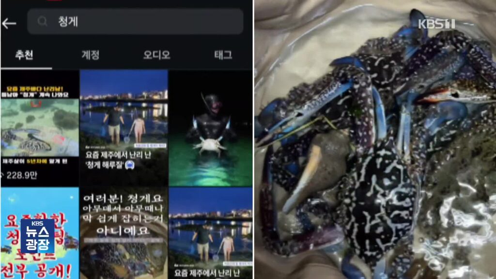 SNS 타고 번진 청게 잡이 열풍…20대 관광객 2명 밀물에 고립돼 구조