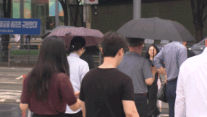 내일(7일) 중부 집중호우 예상, 태풍 '바비' 영향은?
