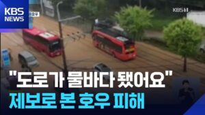폭우로 인한 피해 상황, 시민 제보 영상으로 확인