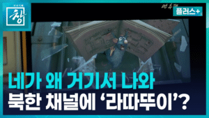 북한 TV, 외국 애니메이션 '라따뚜이' 방영…변화하는 콘텐츠 정책