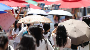 경북 경산·포항 첫 폭염 중대경보 발령…정부, 총력 대응체계 가동