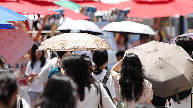 경북 경산·포항 첫 폭염 중대경보 발령…정부, 총력 대응체계 가동