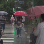 중부지방 밤부터 극한 호우…산사태·홍수 위험 경고