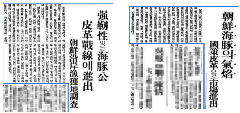일제강점기 제주 바다는 고래 기름을 짜던 식민지 산업 현장이었다