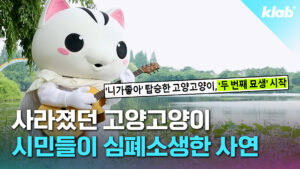 시민들의 노력으로 4년 만에 부활한 고양시 마스코트 '고양고양이'