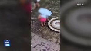 청계천 소원 동전 줍는 여성 포착…절도죄 논란