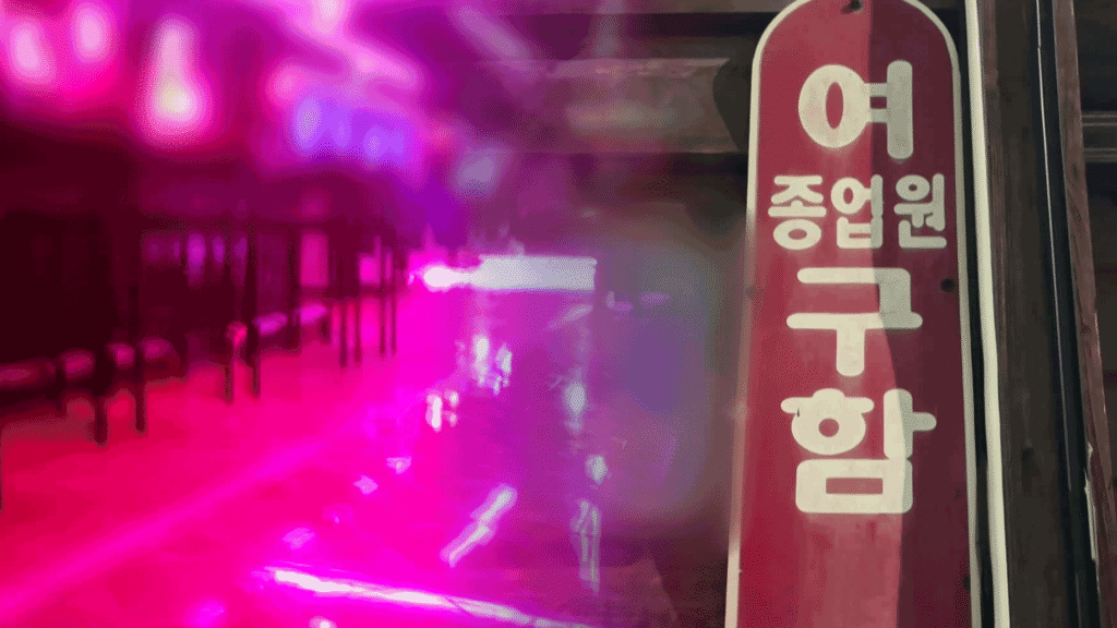외국인 여성, '공연 비자'로 입국 후 유흥업소서 성매매 강요당해
