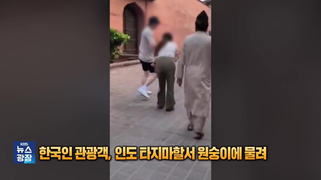 인도 타지마할, 원숭이 습격 사건으로 관광객 안전 및 관리 문제 재부각