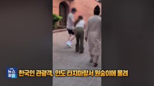 인도 타지마할, 원숭이 습격 사건으로 관광객 안전 및 관리 문제 재부각