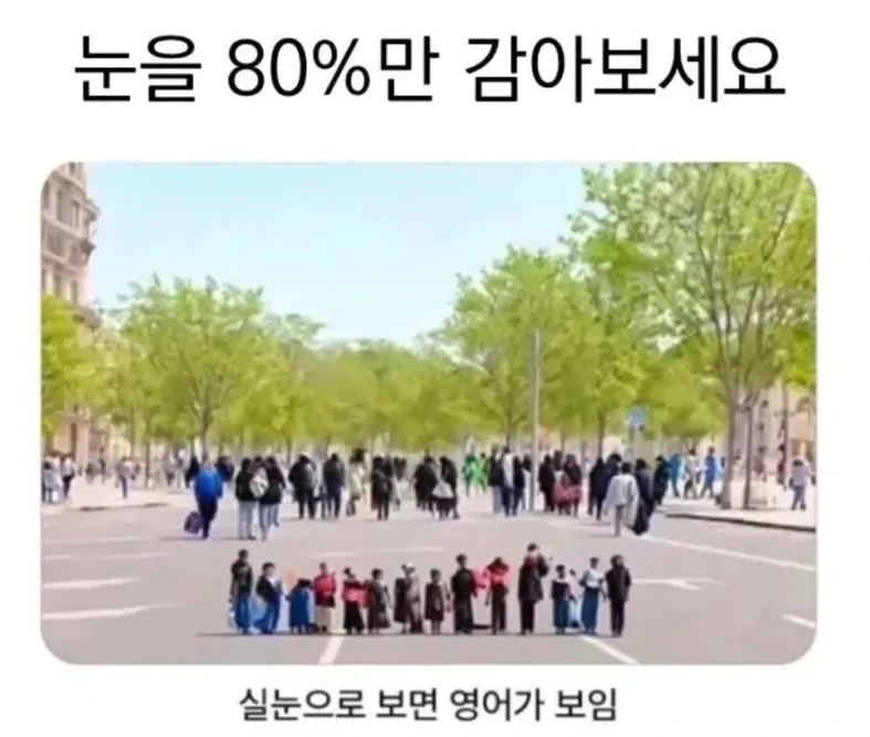 실눈으로 보면 영어가 보임.jpg