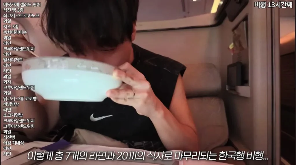 20끼 식사, 비행기 먹방 유튜버 사건의 결말