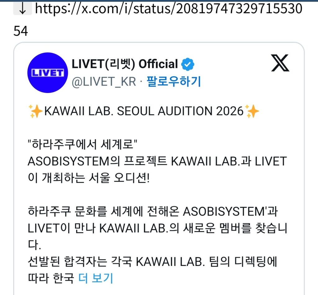 일본 기획사, 한국 시장 겨냥한 현지화 걸그룹 론칭 계획