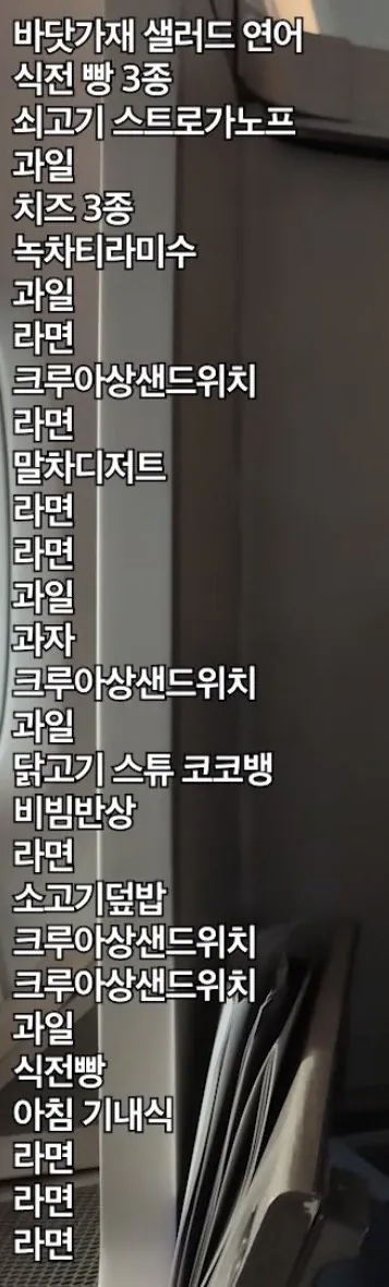 20끼 식사, 비행기 먹방 유튜버 사건의 결말