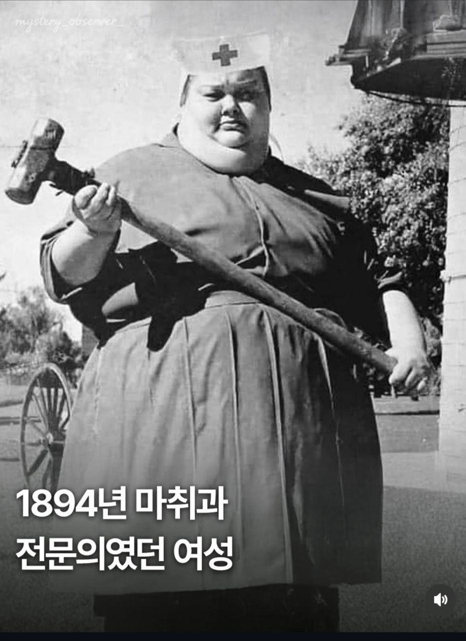 여성 마취과 전문의