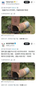곰 익사시켰다고 난리난 일본.news