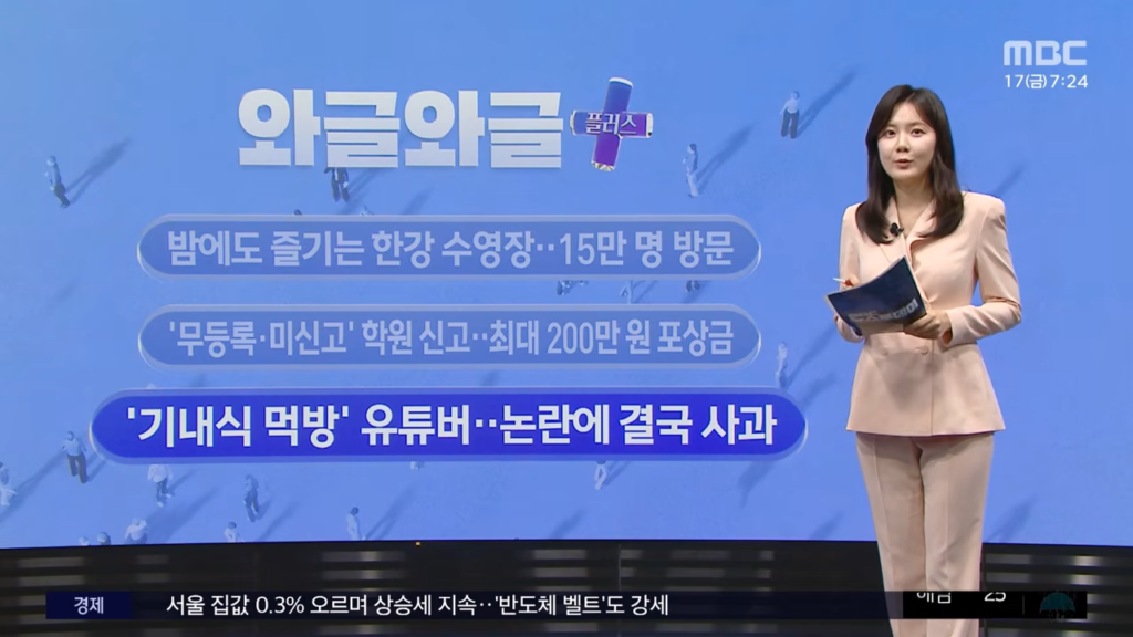 20끼 식사, 비행기 먹방 유튜버 사건의 결말
