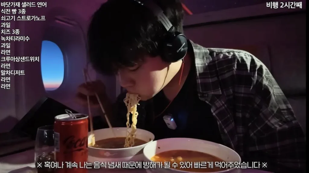 20끼 식사, 비행기 먹방 유튜버 사건의 결말