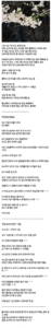 30대 디시인, 결혼 포기한 근황.jpg