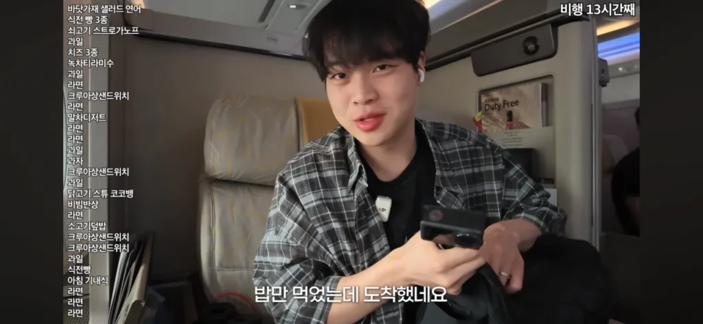 20끼 식사, 비행기 먹방 유튜버 사건의 결말