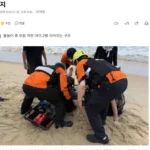 고성 화진포콘도 해변서 일가족 구조 2명 심정지 소식
