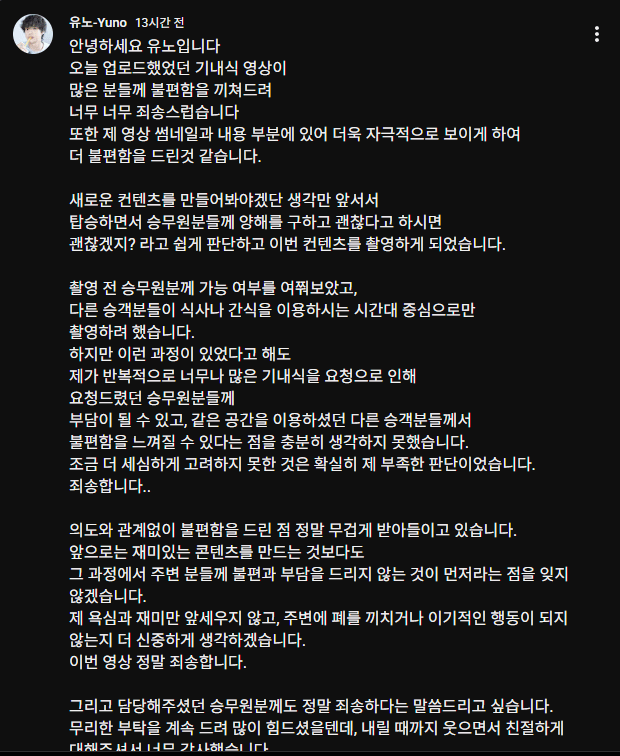 20끼 식사, 비행기 먹방 유튜버 사건의 결말