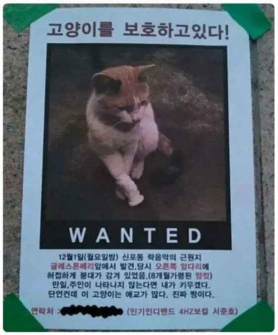 실종 전단지에 담긴 욕망