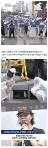 동대문 길고양이 캣맘들 소식